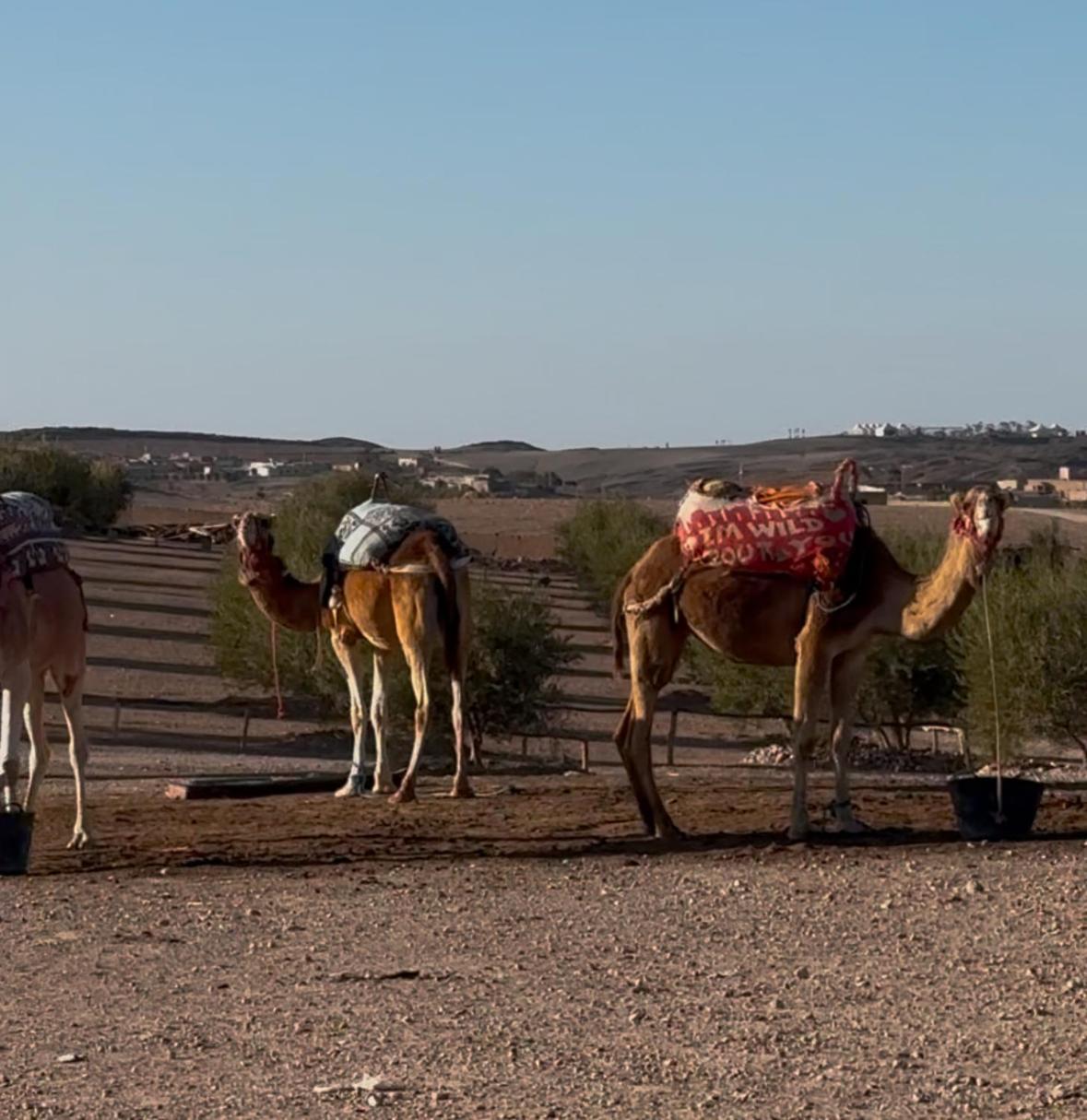 Agafay Valley Marrakesh Exterior photo